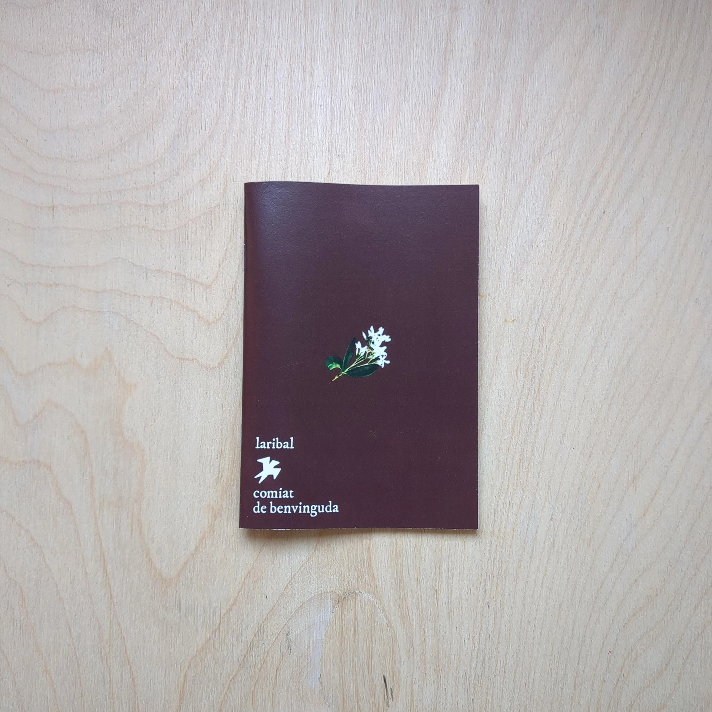 Llibret amb codi de descàrrega del disc 'Comiat de benvinguda'